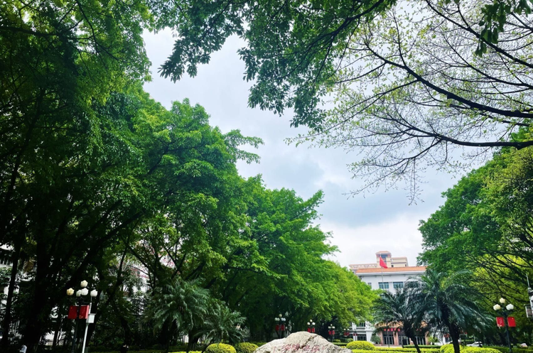 广州中医药大学