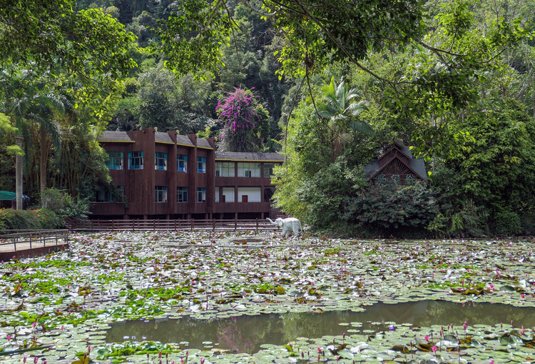 西双版纳傣族自治州