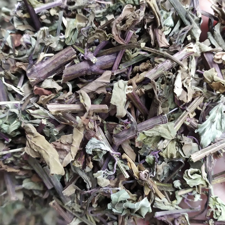肾茶