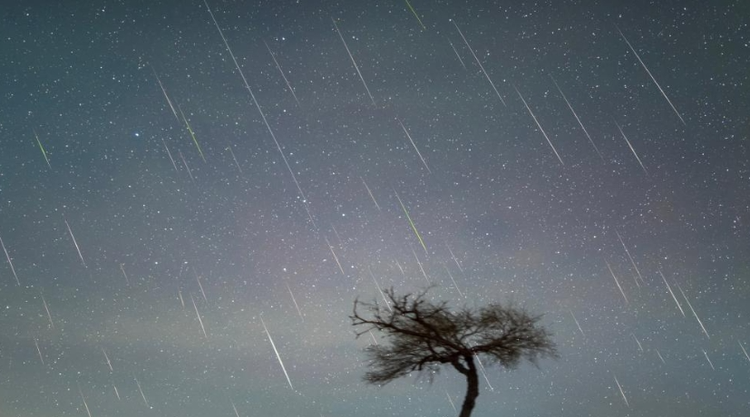 流星资料简单介绍图片