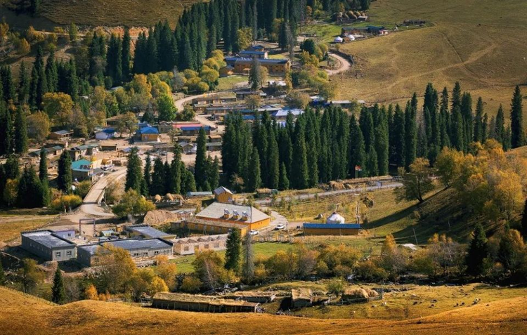 新疆维吾尔自治区