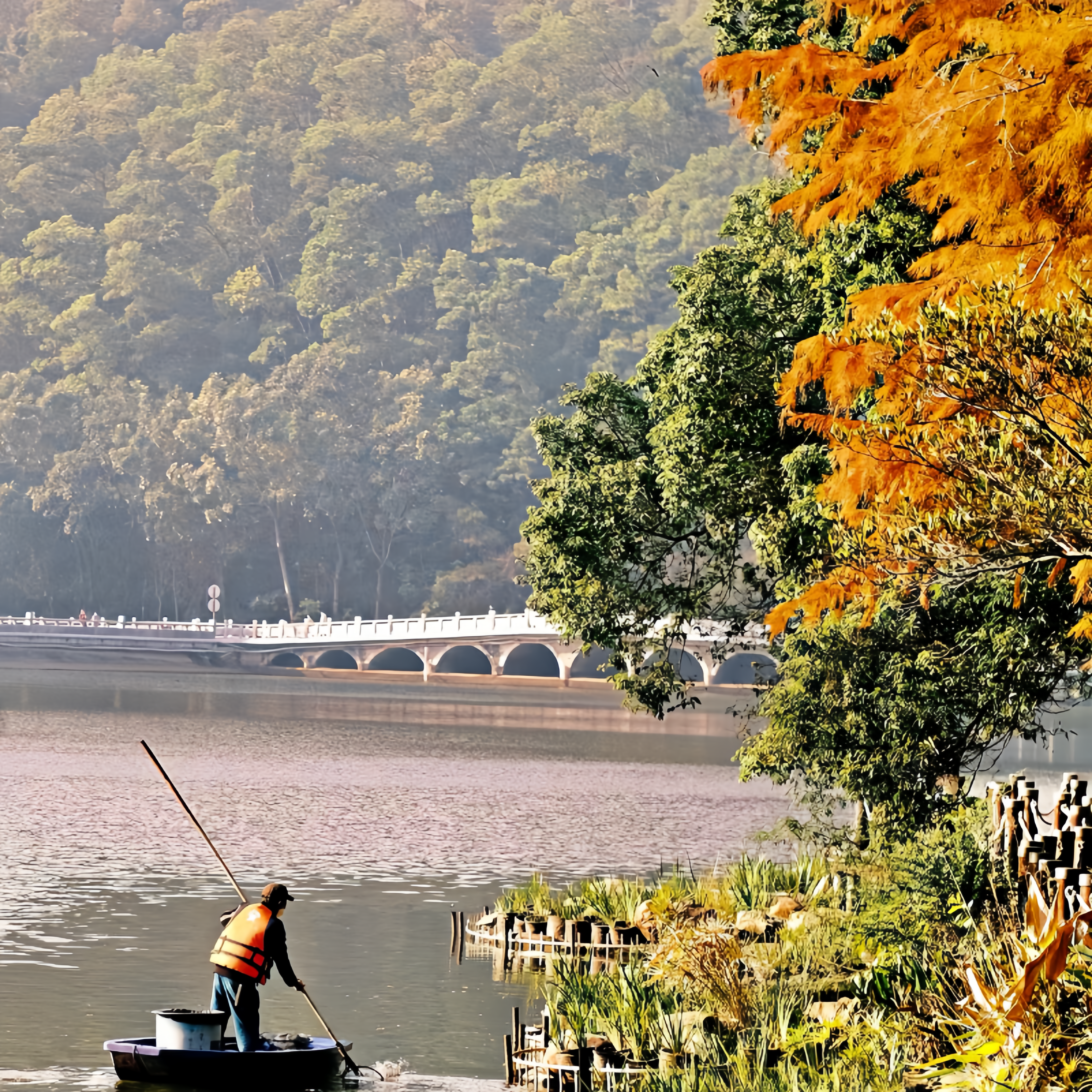深圳－　－仙湖