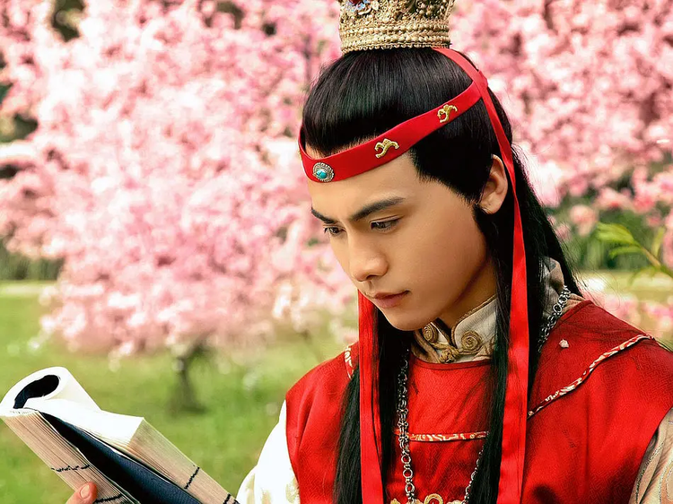 马天宇 黛玉传.png