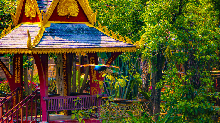 西双版纳傣族自治州