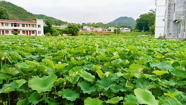 建阳区