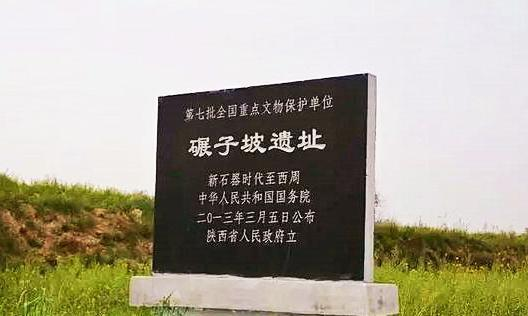 5fff140604e6f.jpeg