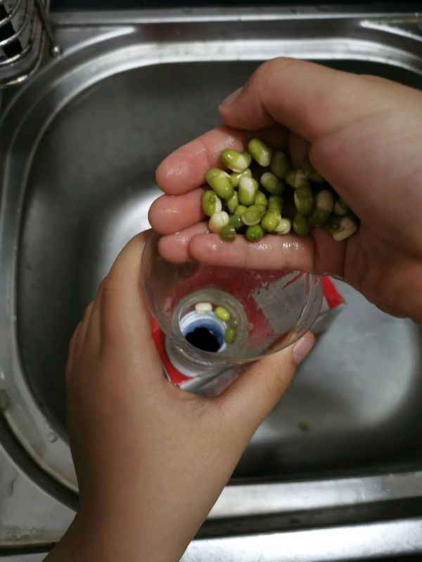 发豆芽