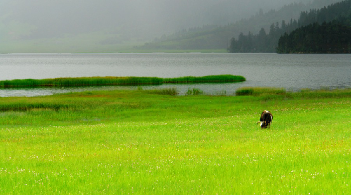 普达措国家公园