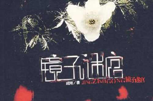 镜子迷宫