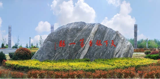 郯城县