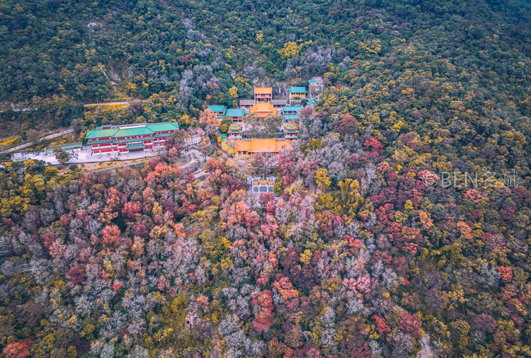 广东省江门市新会区圭峰山国家森林公园玉台寺