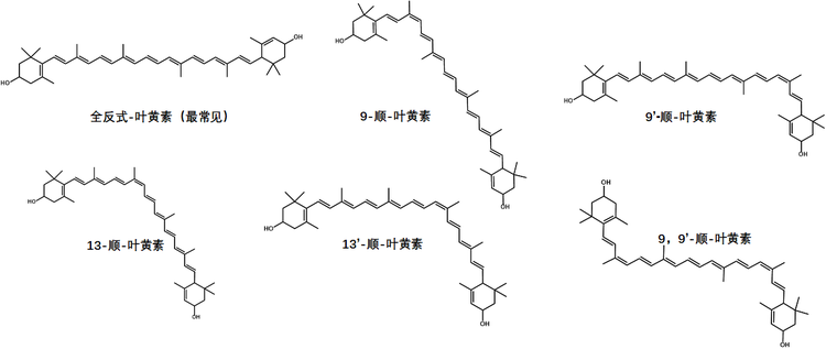 叶黄素