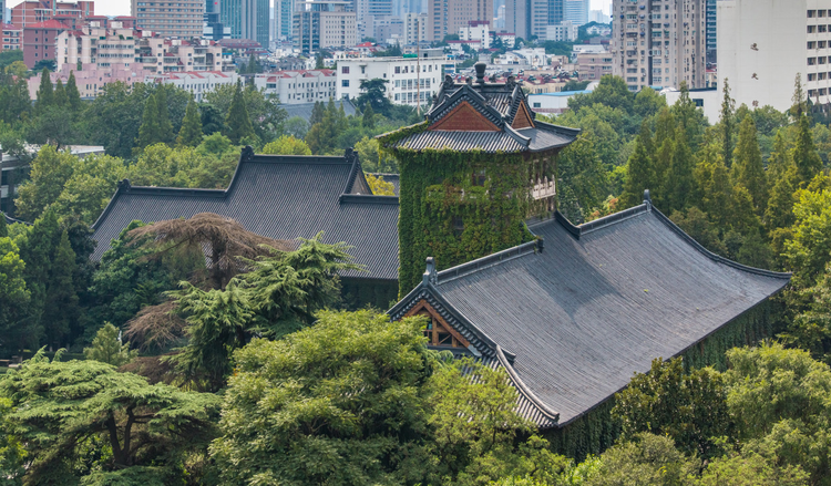 南京大学