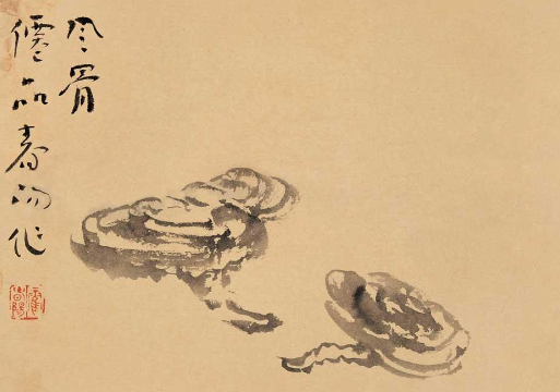 霍春阳