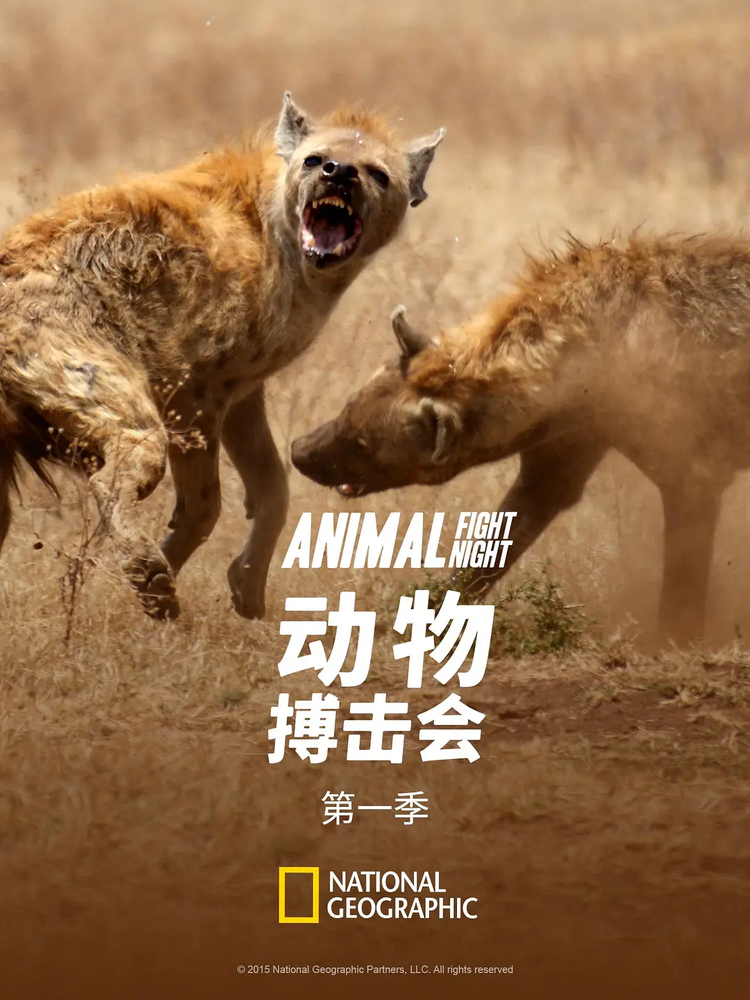 国家地理