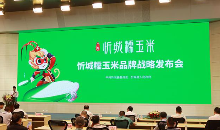 糯玉米