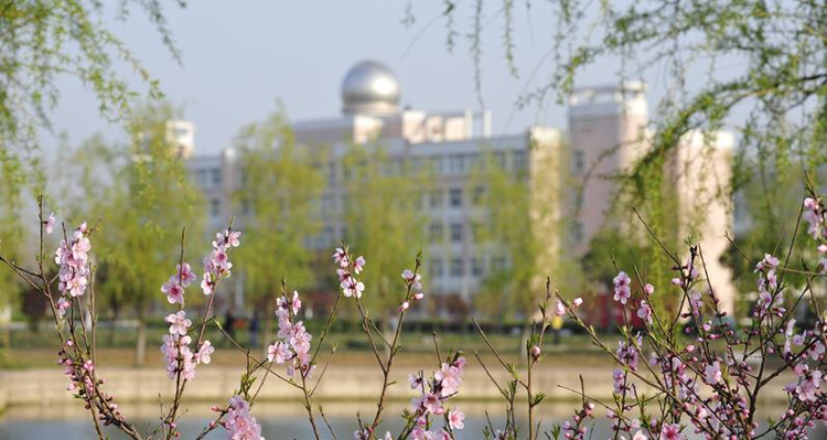 宿州学院