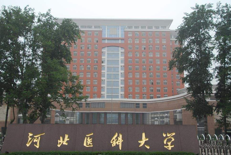河北医科大学主校区3.jpeg
