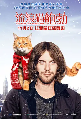 戴伦·伊万斯