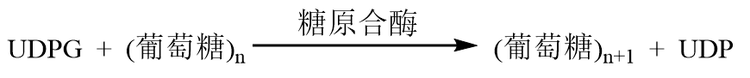 Snipaste_2023-06-06_15-57-25.png