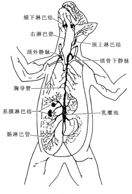 粘贴图片1-1694527088816.png