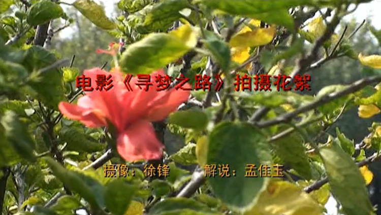 寻梦之路