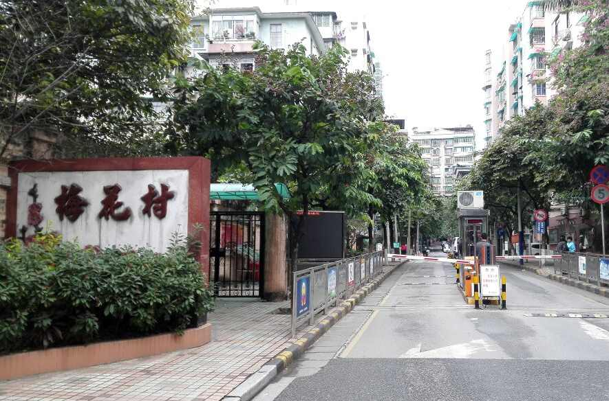 梅花村街道