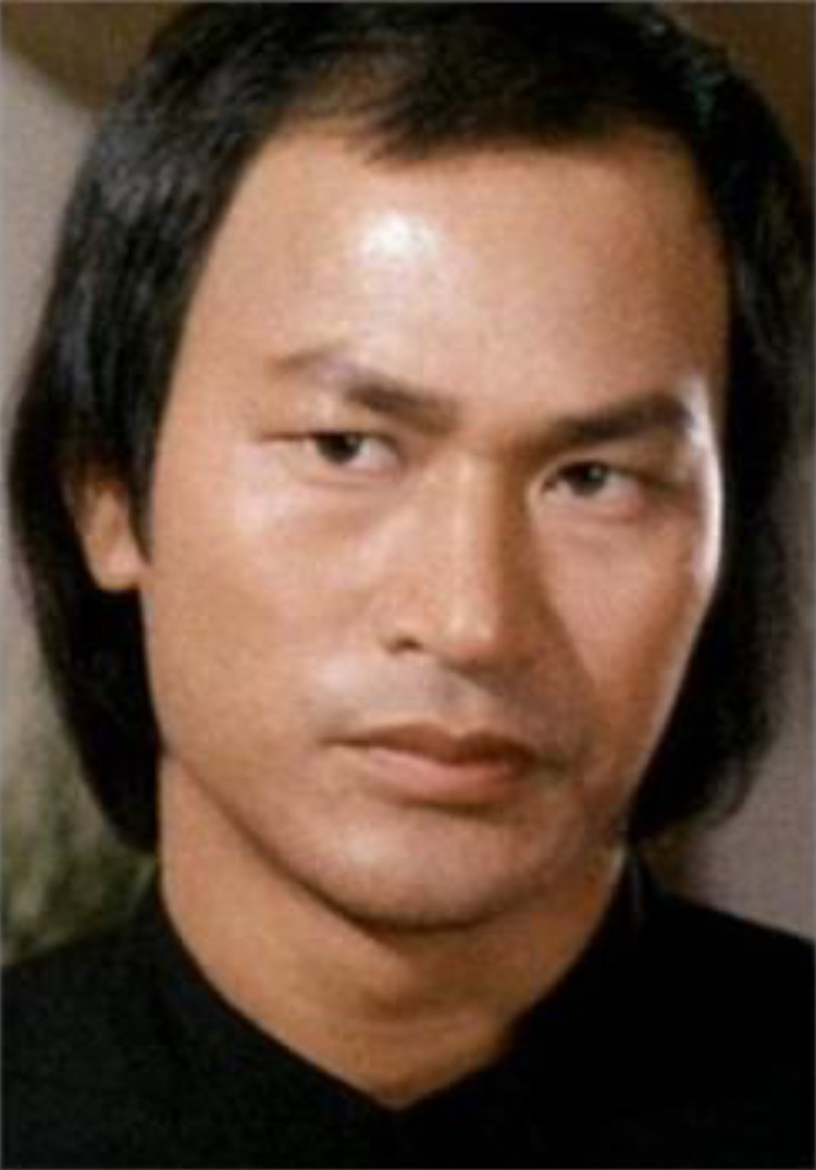 代代风流代代春