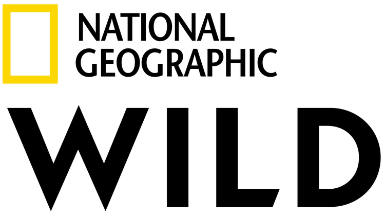 国家地理