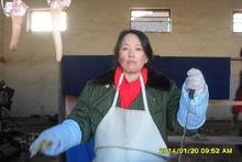 刘俏麟《白雪猪头》剧照