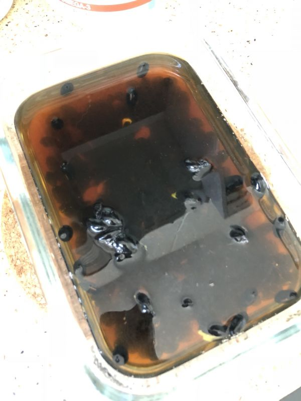 煮黑豆