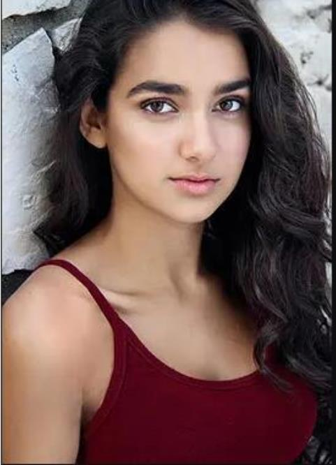 麦克斯威尔·海史密斯