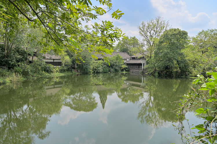 浙江杭州西溪湿地公园烟水渔庄荷塘