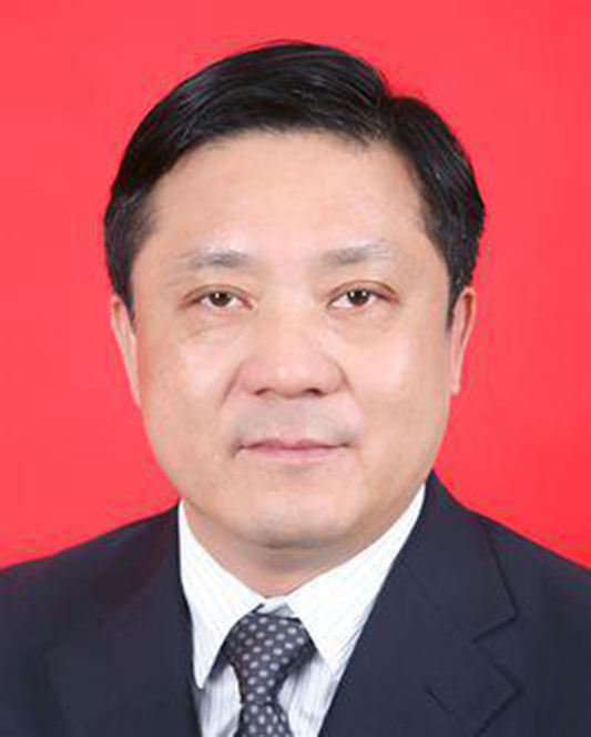 沈金龙
