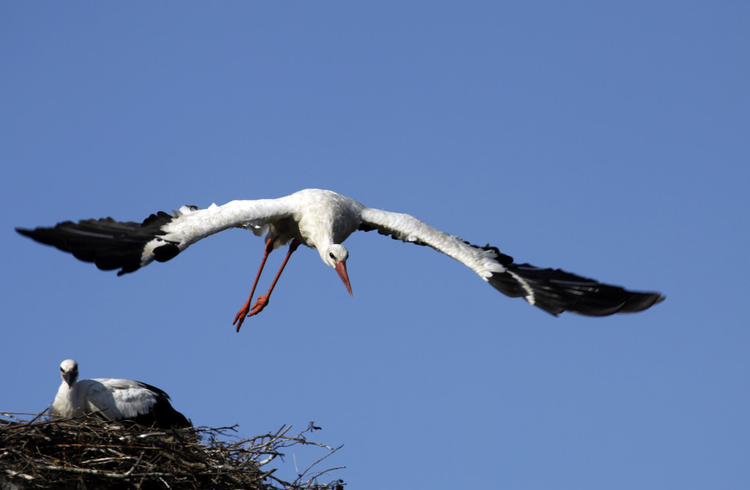 长岛海洋生态文明综合试验区