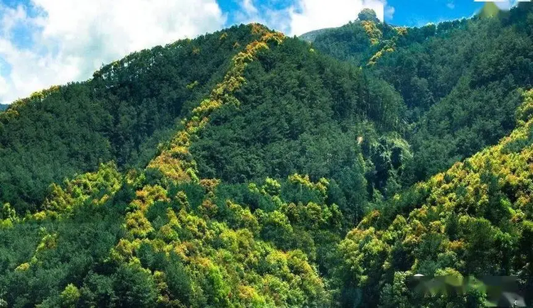 慈利县