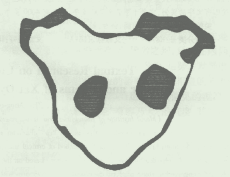 夏代启字祭台龙形图腾.png