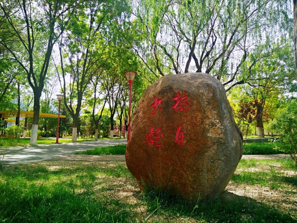 宁夏大学