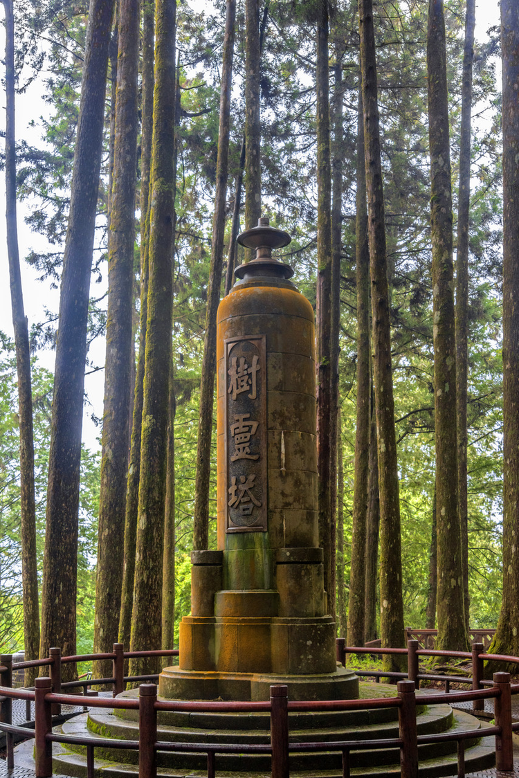 中国台湾嘉义阿里山森林游乐区树灵塔