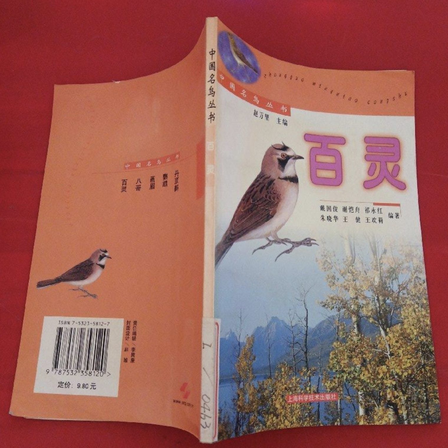 百灵