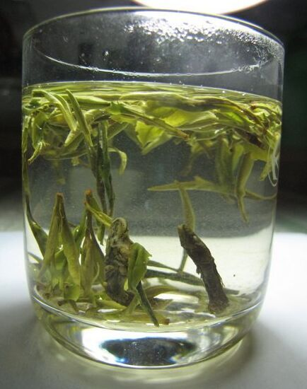 琴鱼茶.png