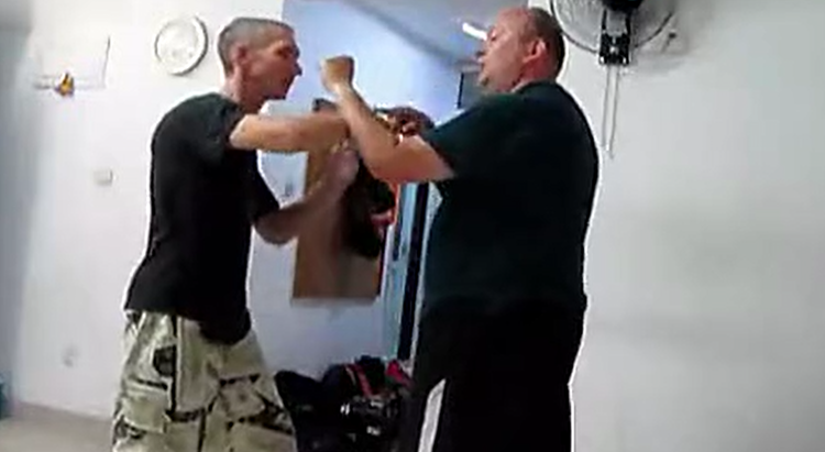 意拳