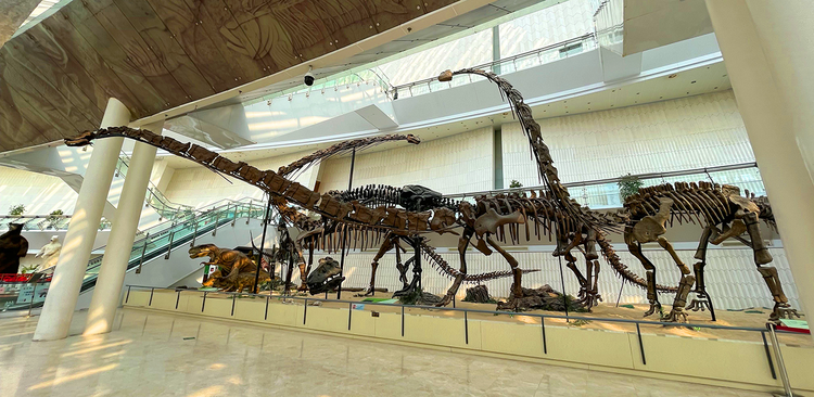 自然博物馆.jpeg