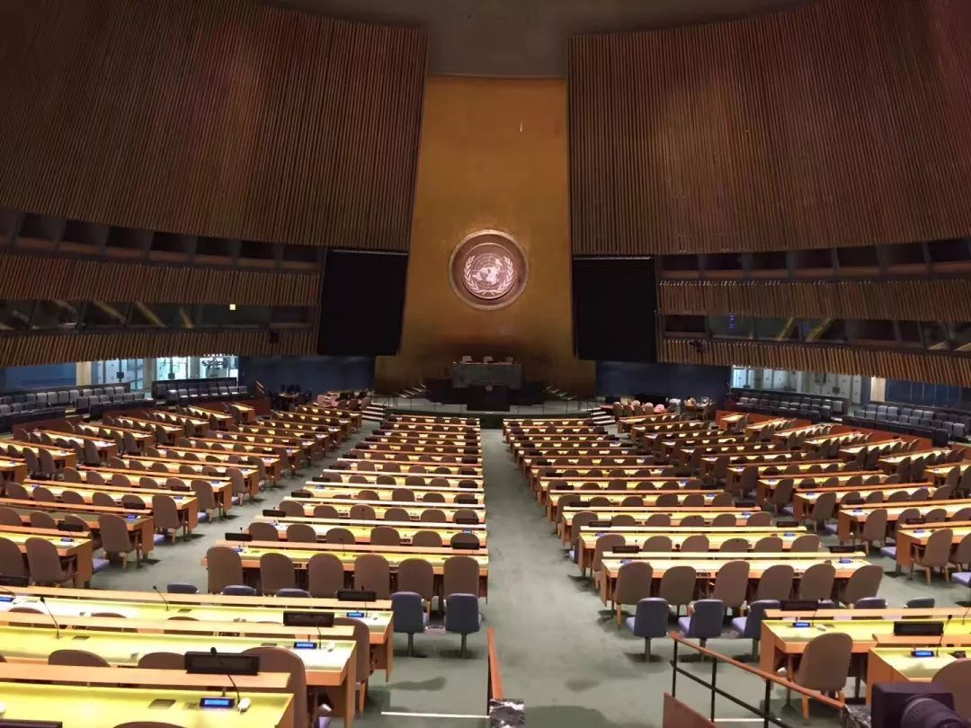 联合国大会特别会议