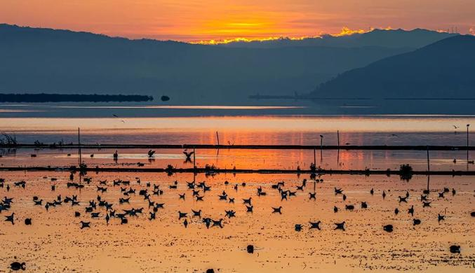 红河哈尼族彝族自治州