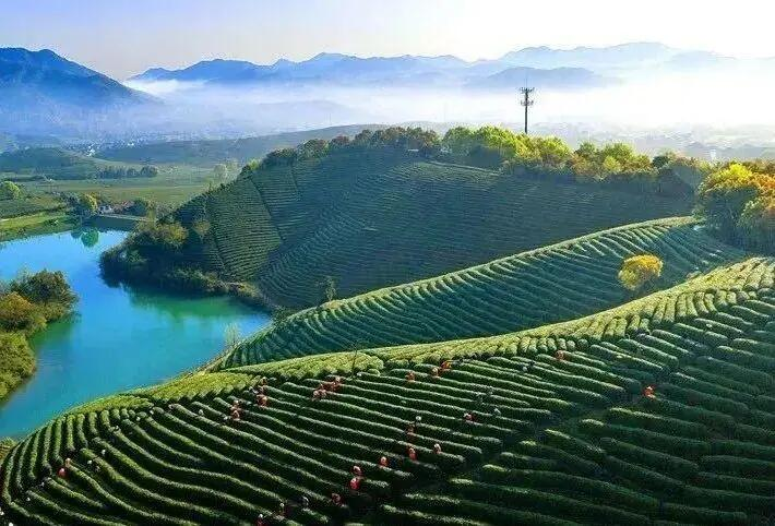西湖