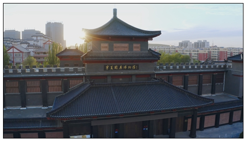 宁夏固原博物馆.png