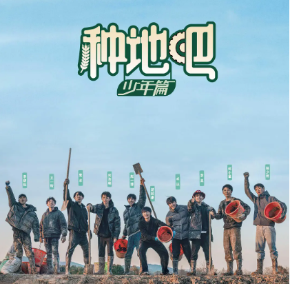 旅行新蜜蜂乐队