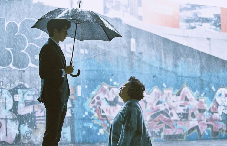 无神之地不下雨