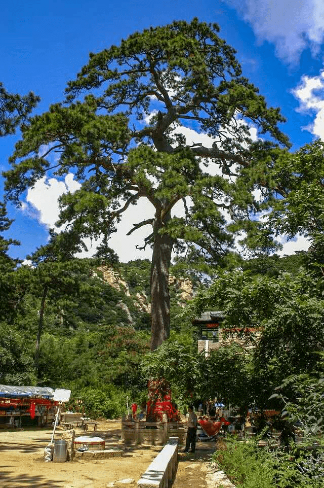 医巫闾山